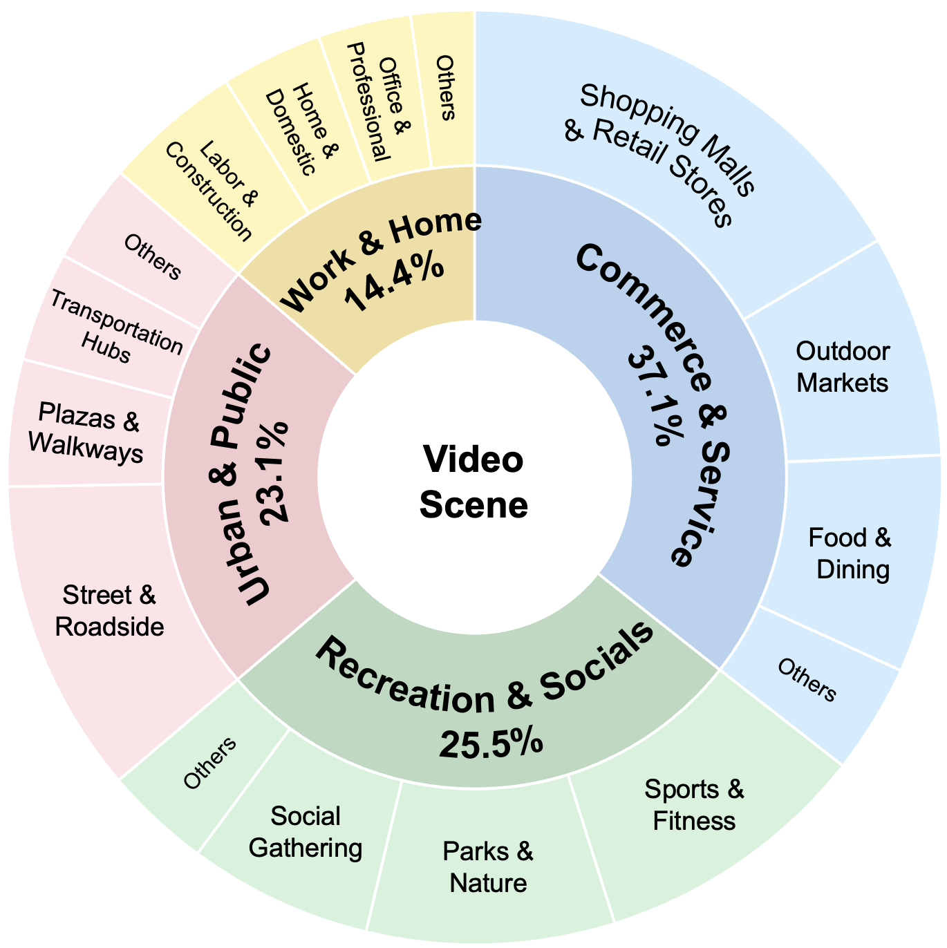 Video scene distribution